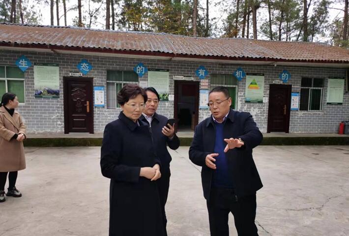 巴中市委常委，市委統戰部部長、市總工會主席溫奇志、通江縣縣委書記孫輝一行來公司調研