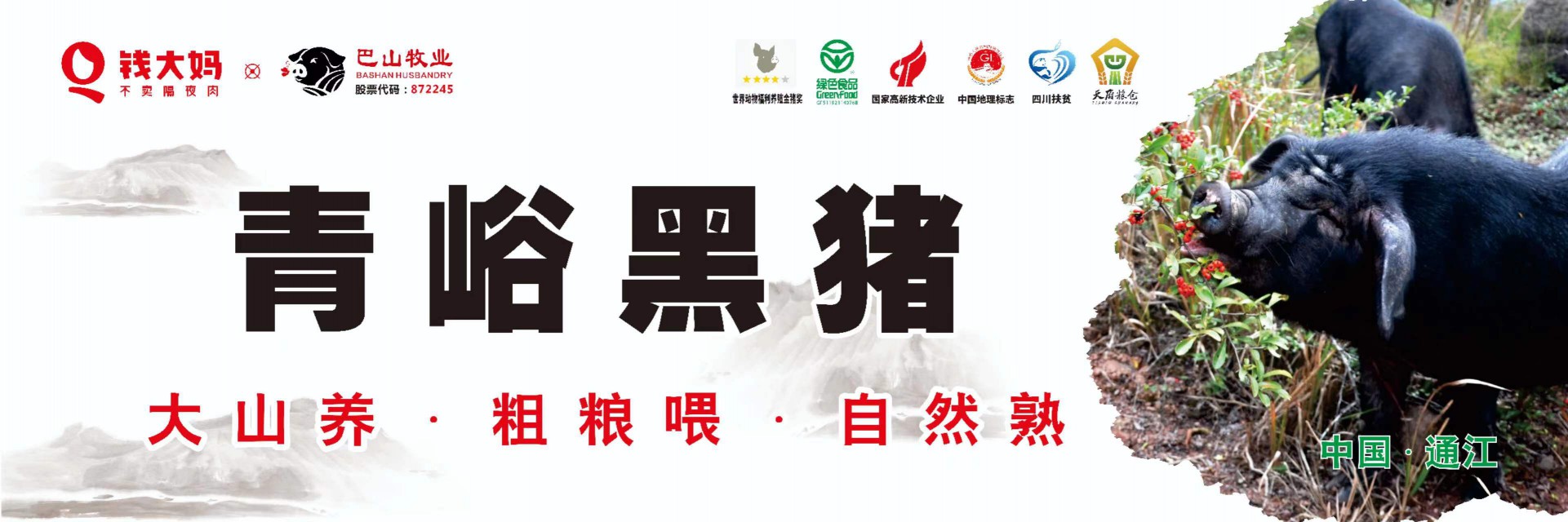 8月19日，青峪黑豬肉 正式在“錢大媽”重慶市場開賣