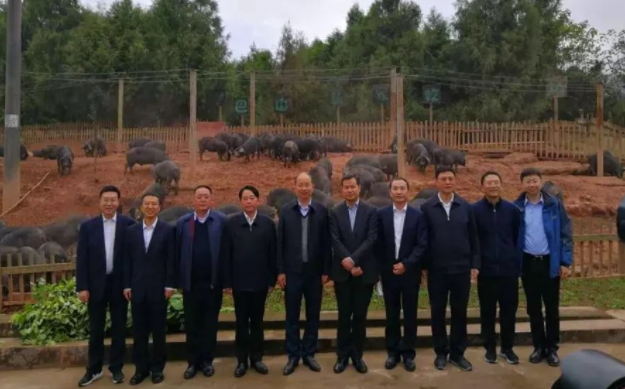 中國(guó)工商銀行黨委書(shū)記、董事長(zhǎng)易會(huì)滿一行來(lái)巴山牧業(yè)調(diào)研